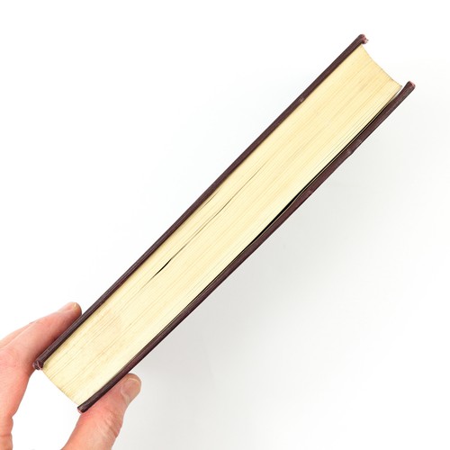 1910 Medical Textbook Diseases of The Nose - Picture 5 of 21