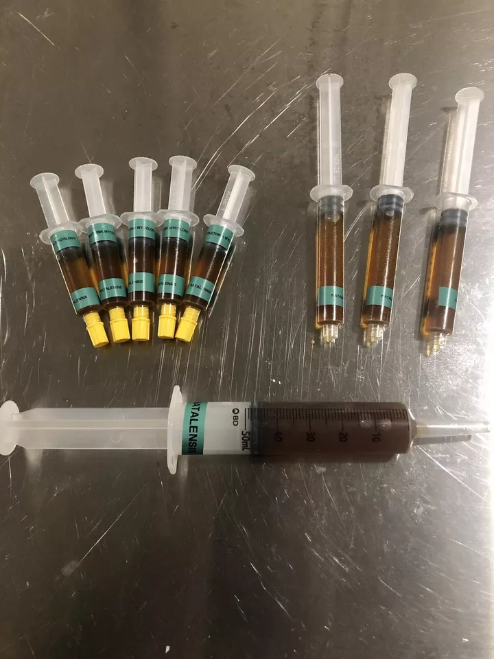 Live Genetics (Pick from Agar/LC/MSS/SS/SP) - Image 2 of 4