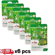 Cucumber Big Green Plus F1 Sorndaeng brand   x 6 pcs