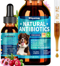 Antibiotics for Dogs Natural Dog Antibiotics for Allergy Relief, Itch Relief,