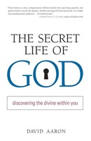 The Secret Life Of God Discovering The Divine Within You David Aaron Taschenbuch