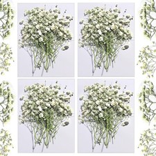 48PCS White Dried Babys Breath, Natural Pressed Flowers, Resin Art, Craft