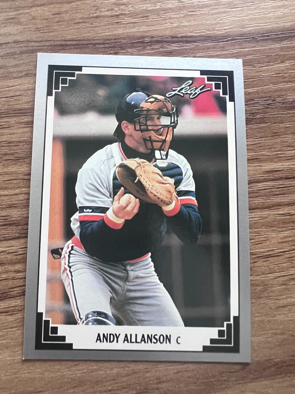 1991 Leaf - Andy Allanson #455