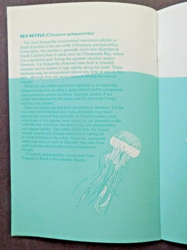 GUIDE TO THE COMMON JELLYFISH OF SOUTH CAROLINA , NEW - Imagen 2 de 10