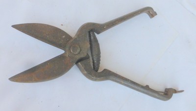 original alte kleine Astschere Schere Gärtner Gartenschere Eisen