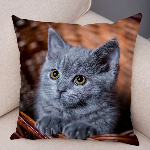 Funny Cute Cat Pillowcase Lovely Pet Animal Print Pillow Case Cushion Cover - Picture 12 of 72