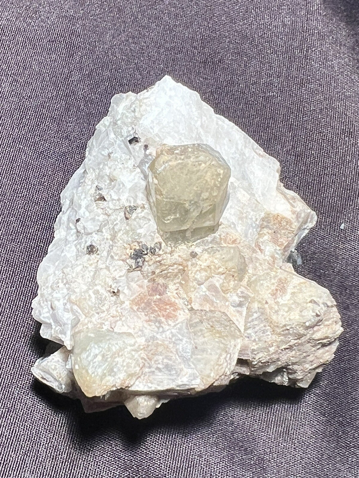 Picture 5 of 5
