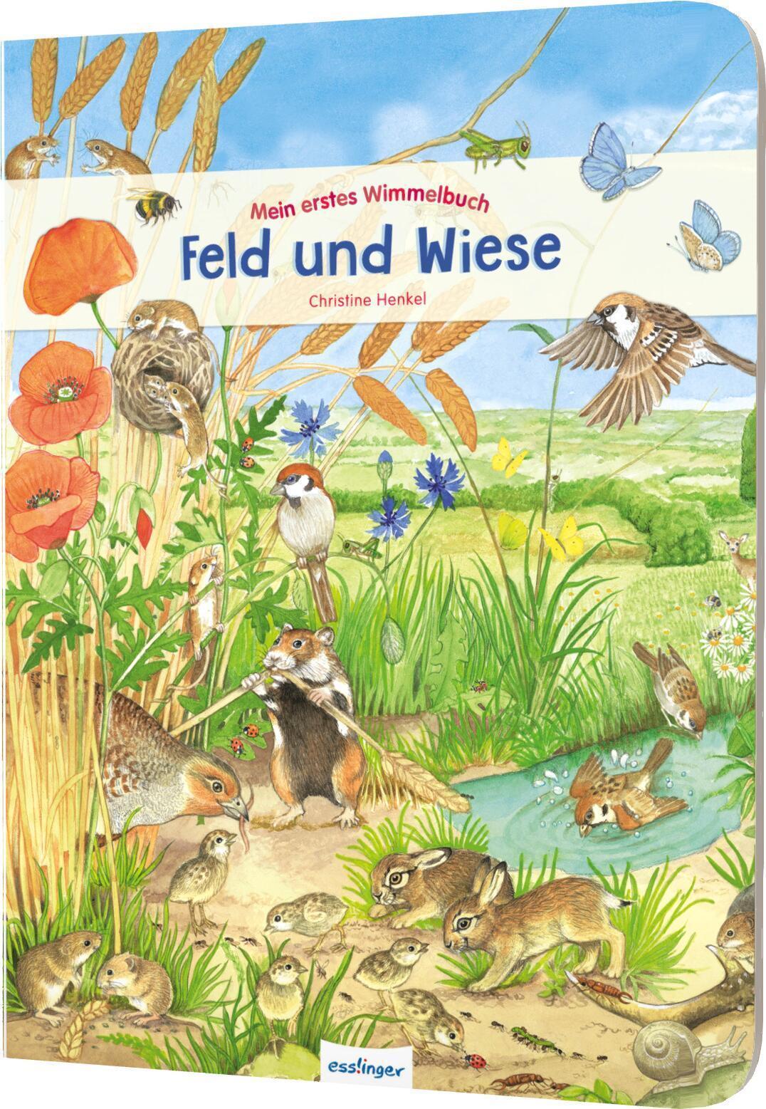 Mein Erstes Wimmelbuch - Feld Und Wiese Christine Henkel