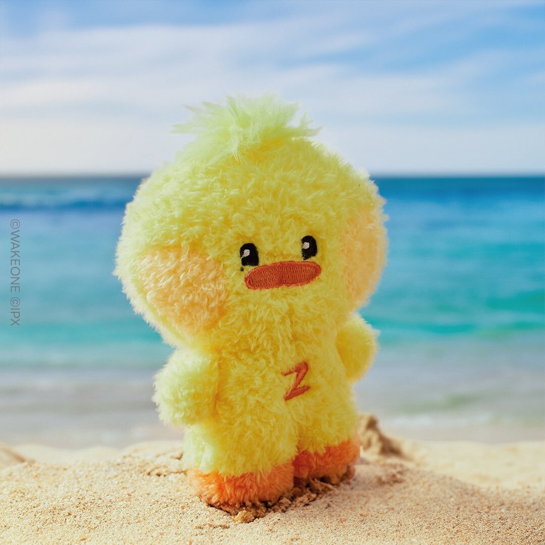 ZEROBASEONE ZB1 LINE FRIENDS OFFICIAL MD zeroni minini DOLL