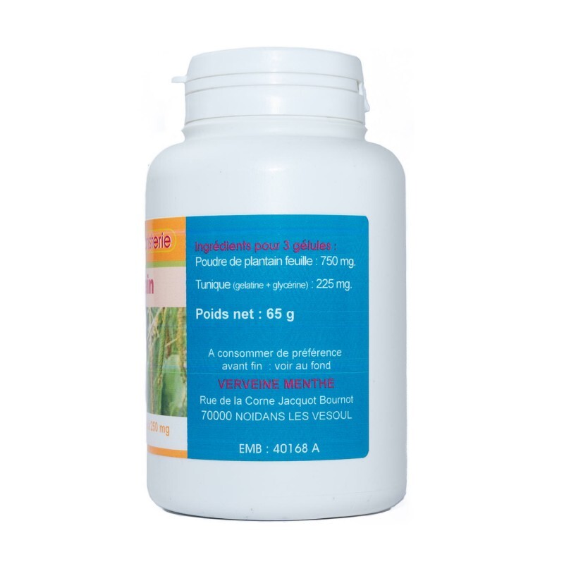 Gélules De Gingembre 280 Mg - 200 Gélules De Poudre Pure De Rhizome, France Herboristerie