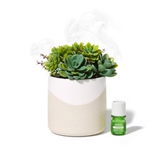 Lifelines Diffuser w/ ClickWick Essential Oil Blend Aromatherapy Faux Succulent