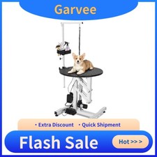 Electric Hydraulic Lift Pet Dog Grooming Table with 24 Inch Rotating Desktop,