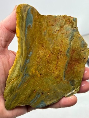 Gary Green Caldera Freedom Jasper Slab Cabbing Lapidary Combo Ship Avail