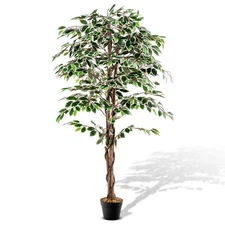 63 In. Artificial Ficus Tree Faux Indoor Plant in Nursery Pot for Decoration