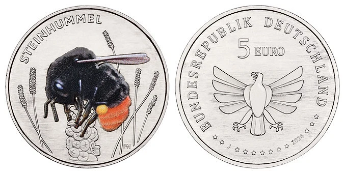 5 EURO 2024 "STEINHUMMEL" IN MÜNZKAPSEL