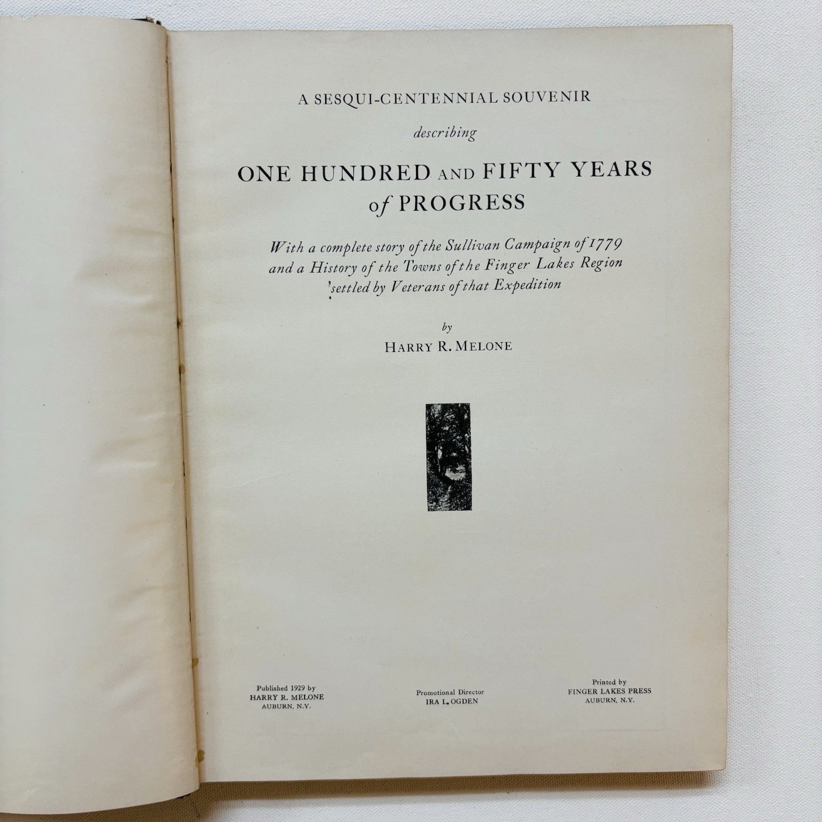 RARE 1st Ed Vtg AUBURN NY Finger Lakes History Air Ship SULLIVAN  CAMPAIGN 1929