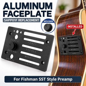 Ibanez Fishman | eBay