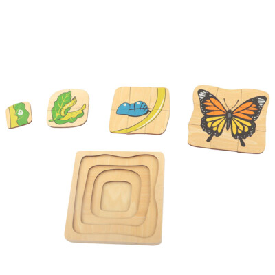 Puzzle of Butterfly Life Cycle - IFIT MONTESSORI BIOLOGY / ZOOLOGY MATERIALS