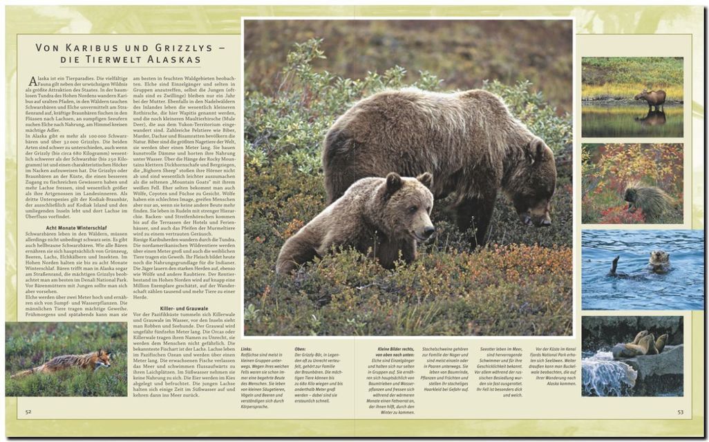 Thumbnail - Reise Durch Alaska Thomas Jeier