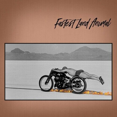 Fastest Land Animal - East Coast, West Coast, In Between [New CD] - Photo 1/1