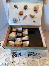 Vtg FOSSILS Kit Discovery Collections Educational Insights 1994 w/ Dinosaur Bone