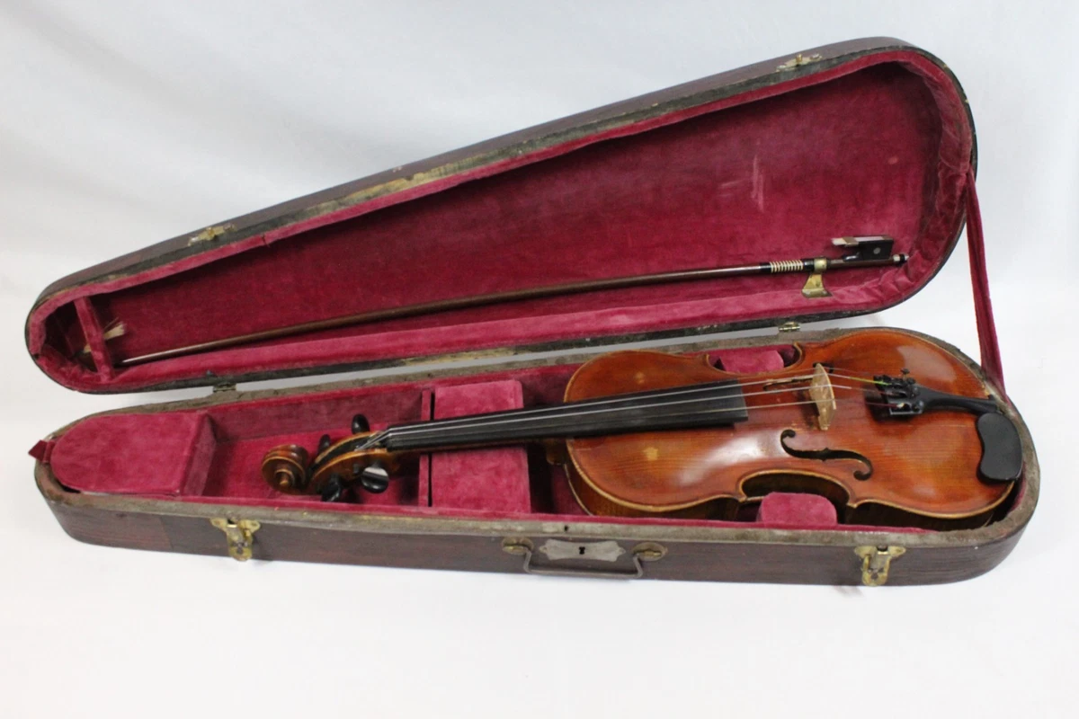 弦楽器 stainer 弦楽器 stainer 弦楽器 stainer Stainer Violin | National Museum of