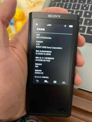 Sony NW-ZX300a Hi-Res Walkman Digital Music Player 16gb | eBay