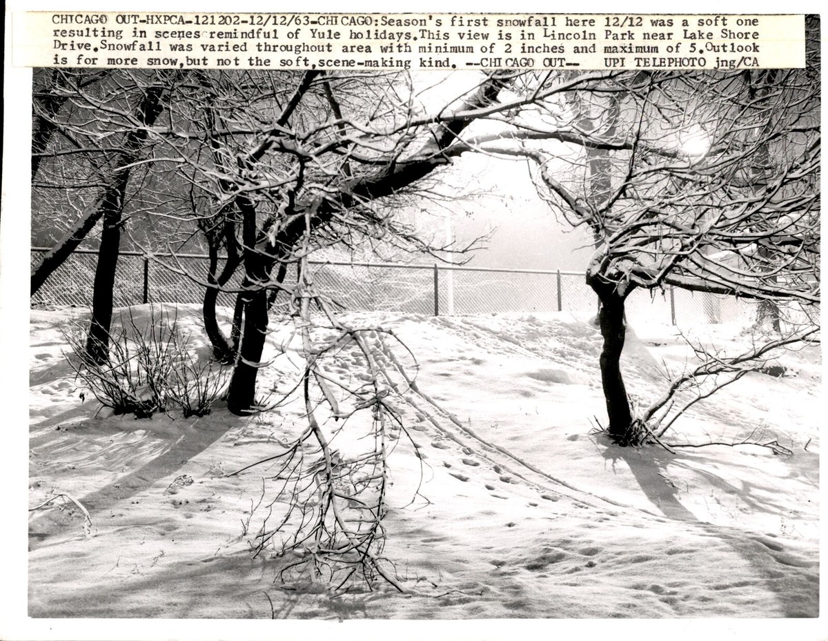 LD330 1963 Original UPI Photo SEASON'S FIRST SNOWFALL in CHICAGO