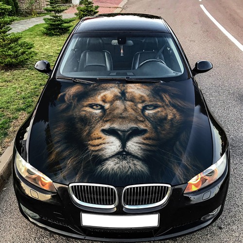 Lion Car Hood Wrap Decal Vinyl Sticker Full Color Graphic Fit Any Car Art