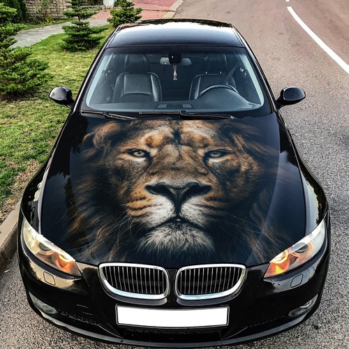 Lion Car Hood Wrap Decal Vinyl Sticker Full Color Graphic Fit Any Car Art - Picture 1 of 4