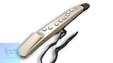 ROLAND Aerophone AE-01 Digital Wind Instrument