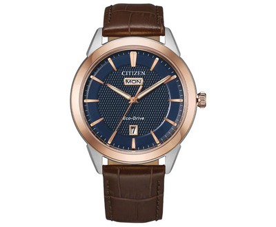 Citizen Men's Eco-Drive Gold PVD Stainless Steel Watch - AW0096-06L NEW