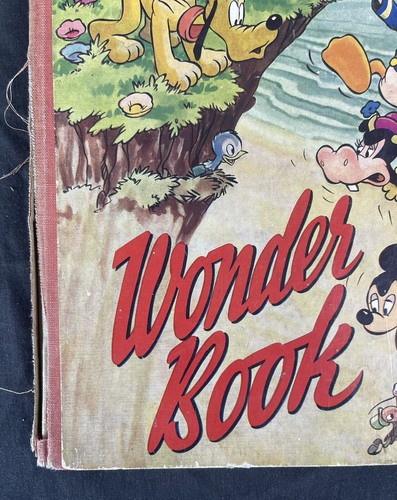 Vintage Retro Walt Disney's Wonder Book Illustrated 1950s UK Hardcover Edition - Picture 3 of 11