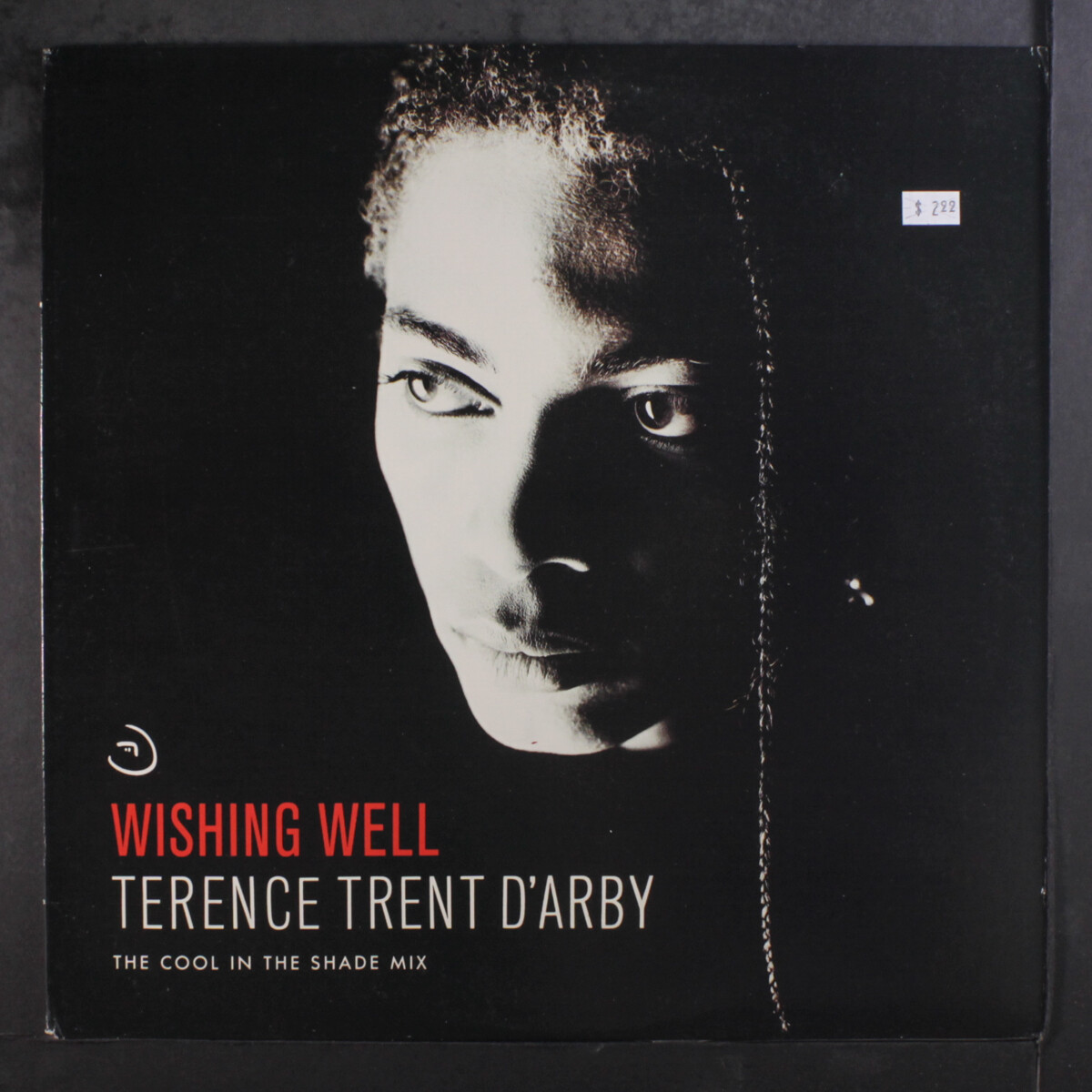 TERENCE TRENT D'ARBY: wishing well (cool in the shade mix