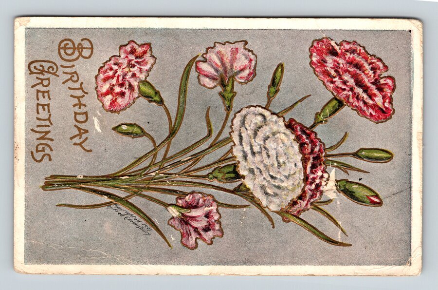 Diamond Bluff Cancel,WI 1908 Postal History DPO Pierce County Wisconsin