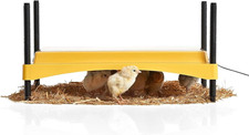 Brinsea Ecoglow Safety 1200 Chick or Duckling Brooder, Adjustable Height  Angle