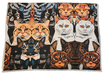 2 Microfiber Towels - Kitchen Bathroom Sports - Illusion Cats Orange White Black