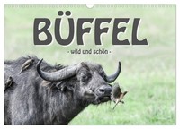 Calendar 2027 · US Version · Buffalo - Wild And Beautiful (Wall Calendar 2027 17