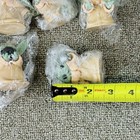 Foto 13 di 13