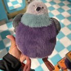 Bild 8 von 11