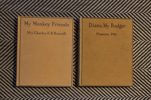 Rare Children's Animal Books: My Monkey Friends & Diana, My Badger (1937-38) - Bild 2 von 8