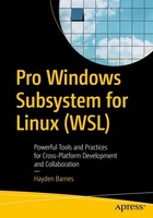 Pro Windows Subsystem For Linux (Wsl) Hayden Barnes
