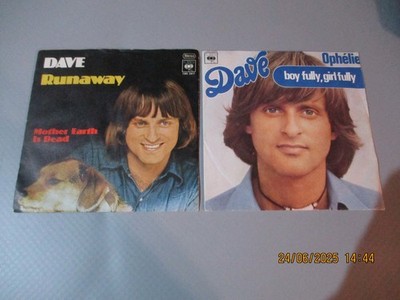 7'' Single Vinyl Sammlung 2x Dave