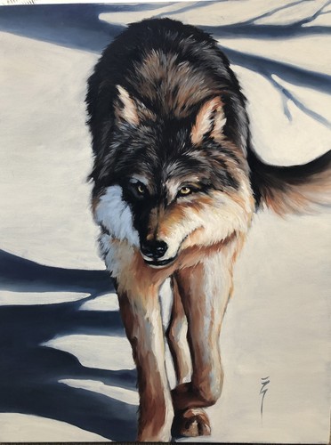 Oil on Canvas Painting Gray Wolf In Snow By Katherine Zymbroy Wild Original Art