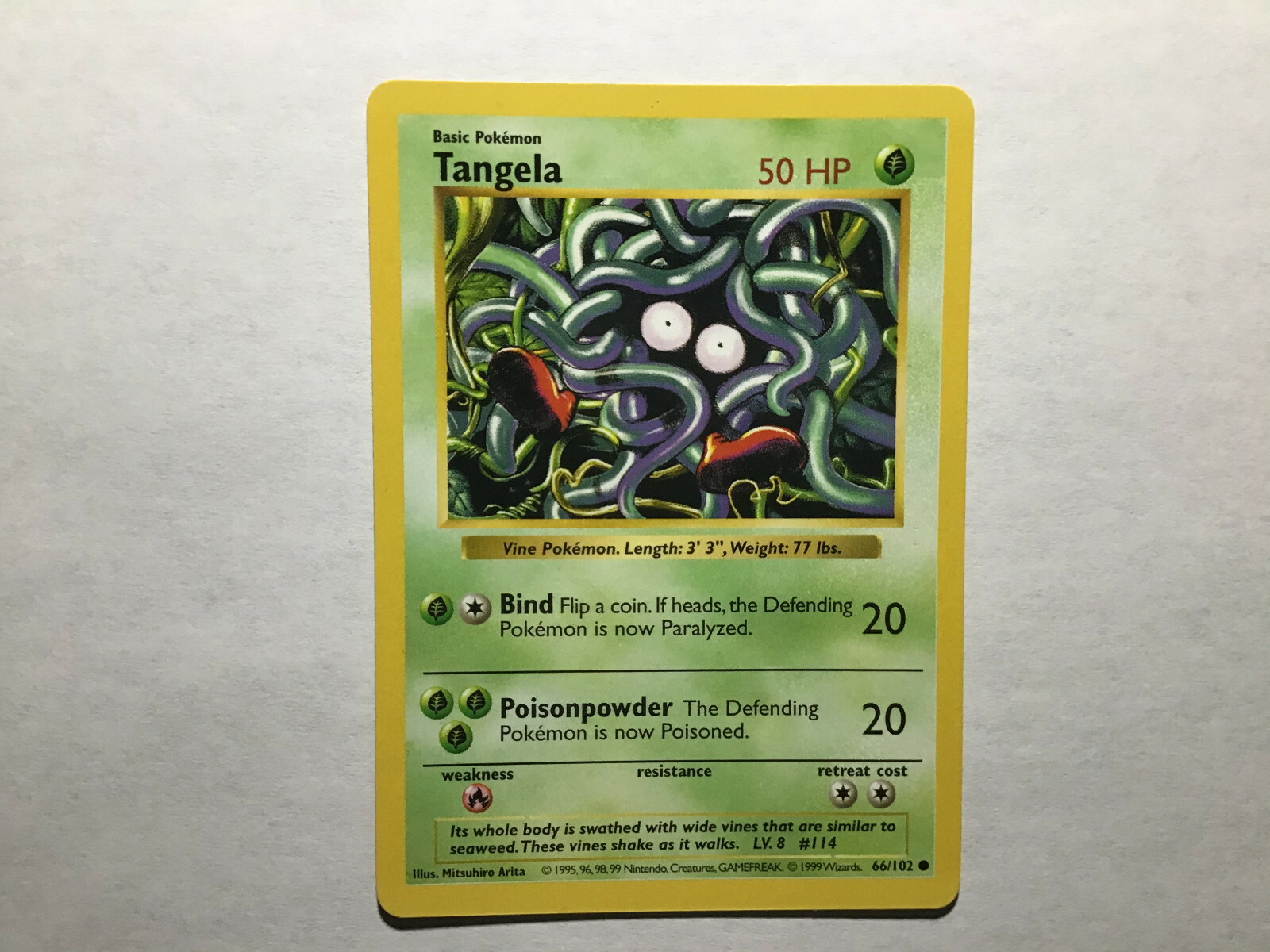 Tangela Shadowless Base Set Common Pokemon 66/102 English 1999 WOTC Near Mint