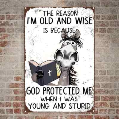 NEW Vintage Style God 'I'm Old and Wise' Metal Sign with Humorous Quote