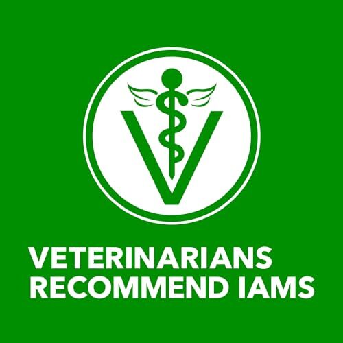 IAMS Proactive Health 13oz Pack of 6 Lamb and Rice Wet Puppy Dog Food - Picture 10 of 11