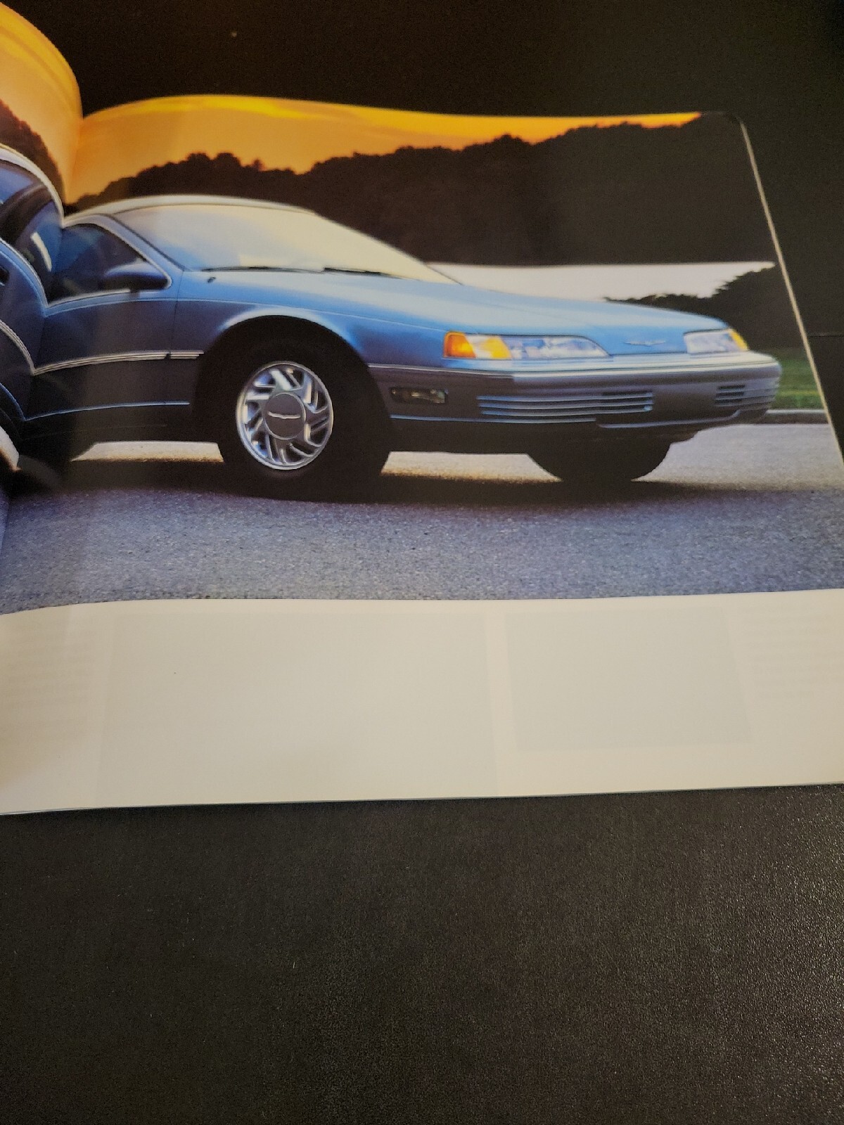 Picture 4