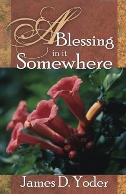A Blessing in it Somewhere - Yoder, James D. - Very Good - See condition not...