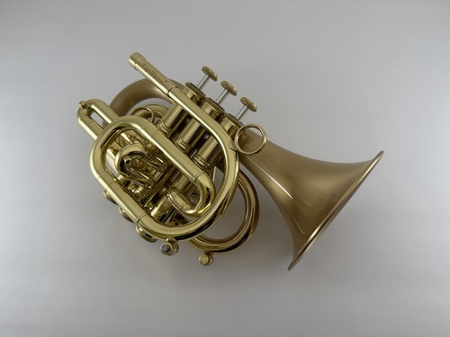 Trumpet CAROL BRASS CPT-3000-GLS-Bb-SLB Satin Pocket Trumpet with Case #103837